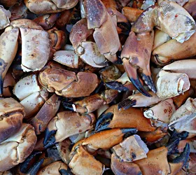 pescheria da andrea agropoli